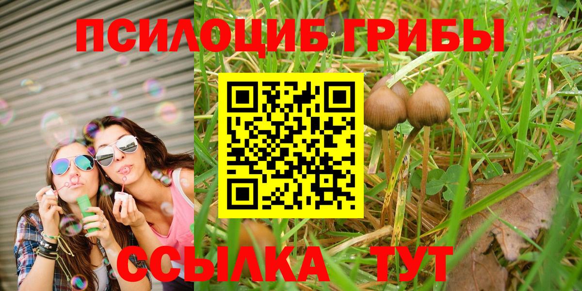 Псилоцибиновые грибы GOLDEN TEACHER  Вход с VPN  Галлюциногенные грибы MAGIC MUSHROOMS  закладка  Кропоткин 